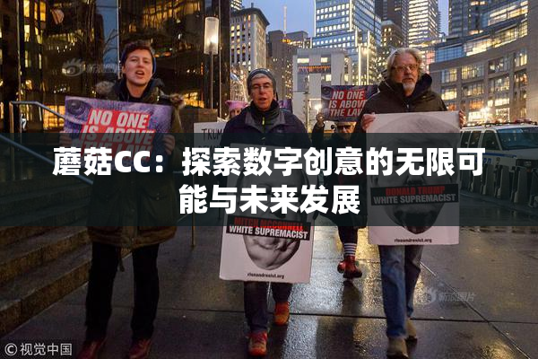 蘑菇CC：探索数字创意的无限可能与未来发展