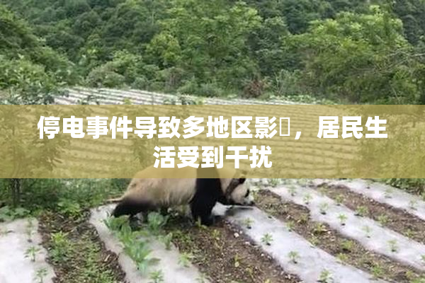 停电事件导致多地区影響，居民生活受到干扰