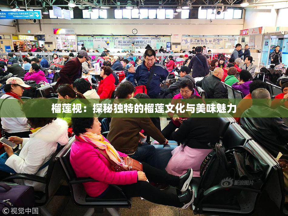 榴莲视：探秘独特的榴莲文化与美味魅力