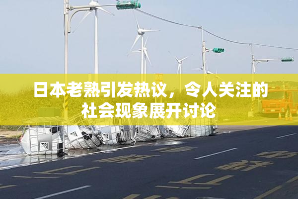 日本老熟引发热议，令人关注的社会现象展开讨论