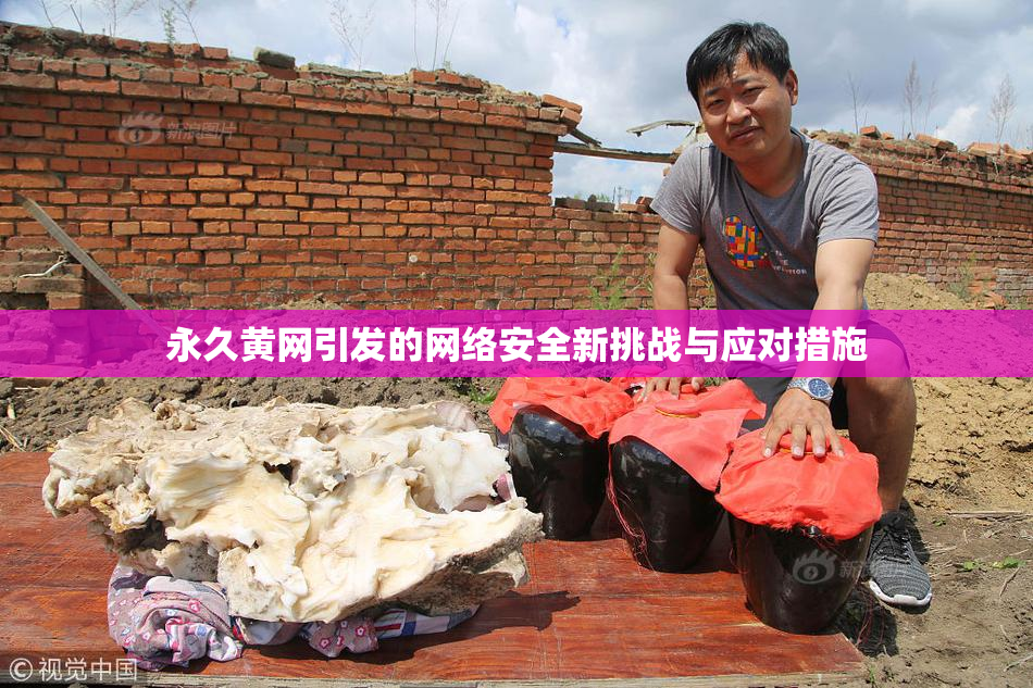 永久黄网引发的网络安全新挑战与应对措施