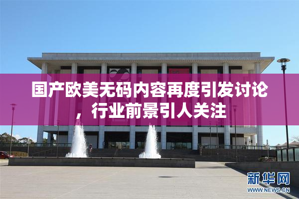 国产欧美无码内容再度引发讨论，行业前景引人关注