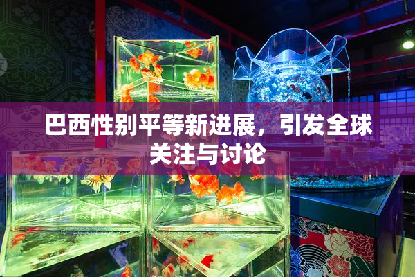 巴西性别平等新进展，引发全球关注与讨论