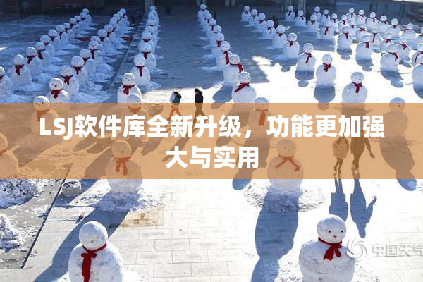 LSJ软件库全新升级，功能更加强大与实用