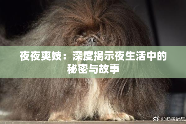 夜夜爽妓：深度揭示夜生活中的秘密与故事