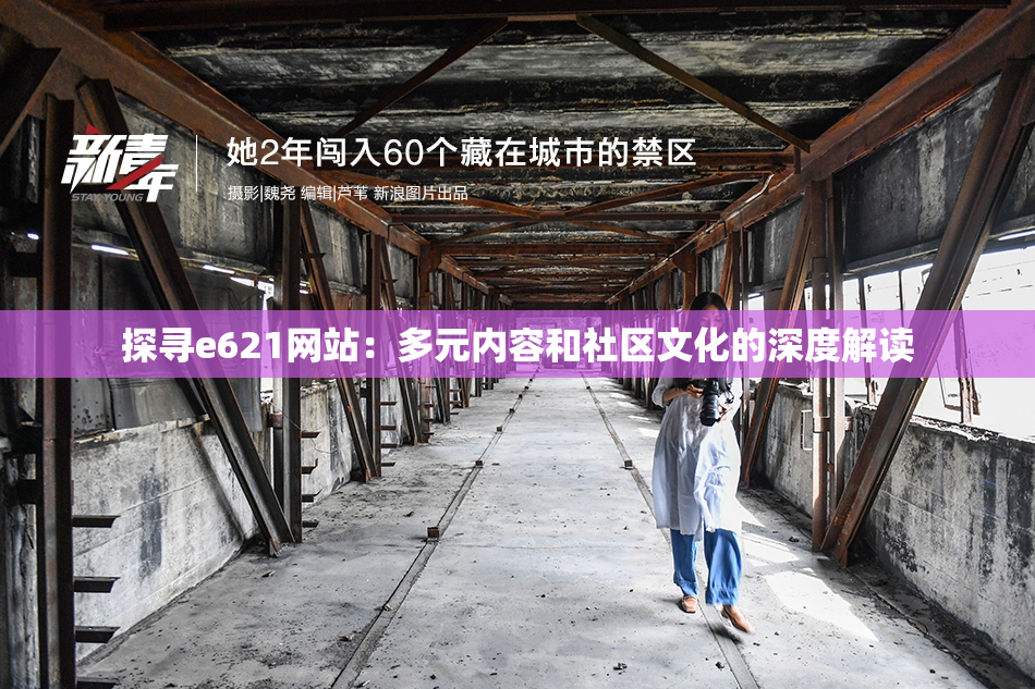 探寻e621网站：多元内容和社区文化的深度解读