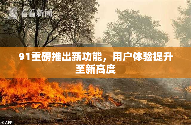 91重磅推出新功能，用户体验提升至新高度