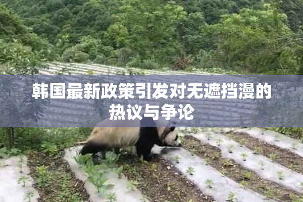 韩国最新政策引发对无遮挡漫的热议与争论