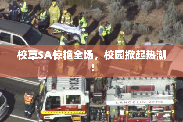 校草SA惊艳全场，校园掀起热潮！