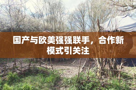 国产与欧美强强联手，合作新模式引关注