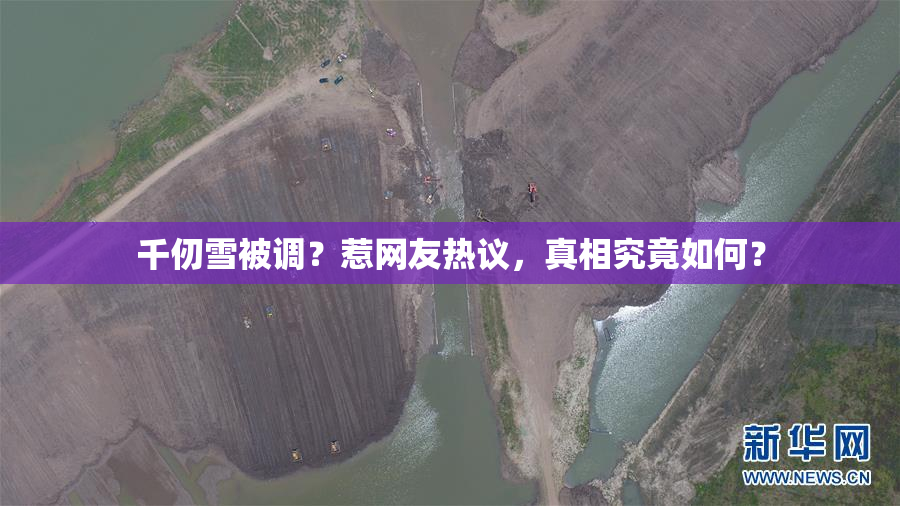 千仞雪被调？惹网友热议，真相究竟如何？