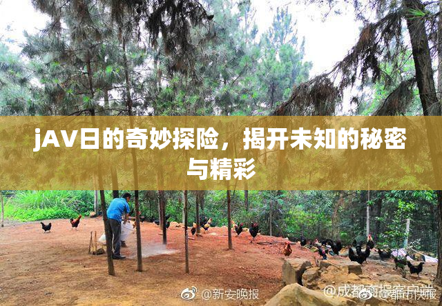jA∨日的奇妙探险，揭开未知的秘密与精彩