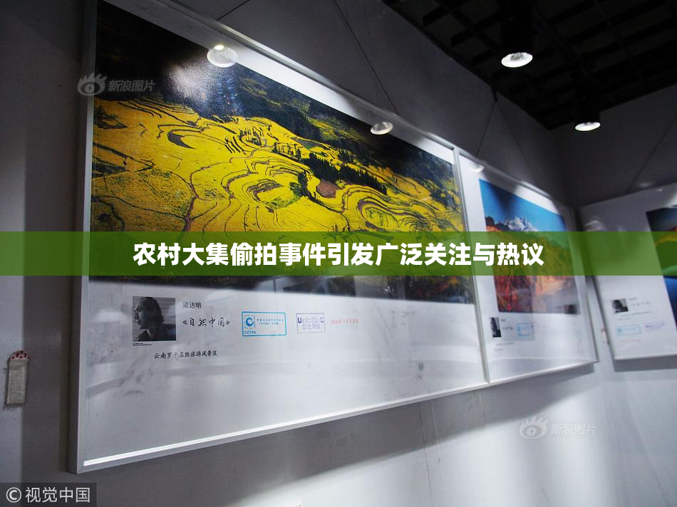 农村大集偷拍事件引发广泛关注与热议