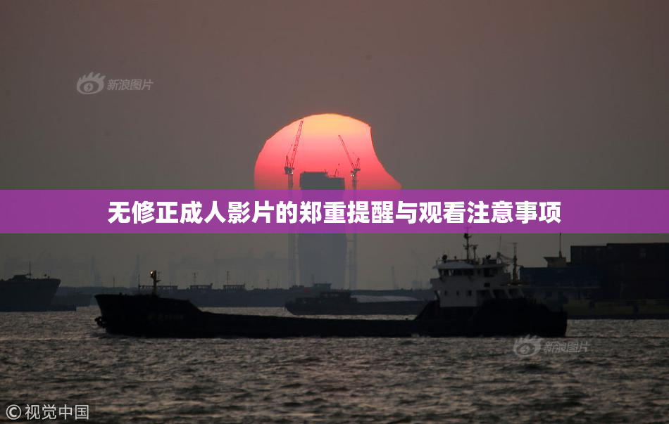 无修正成人影片的郑重提醒与观看注意事项