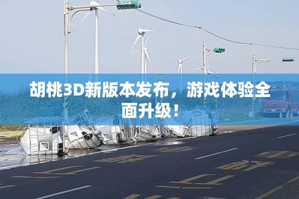 胡桃3D新版本发布，游戏体验全面升级！