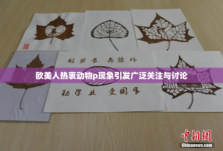 欧美人热衷动物p现象引发广泛关注与讨论