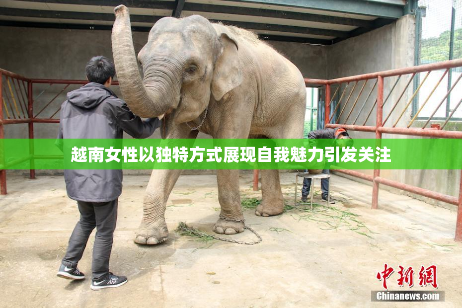 越南女性以独特方式展现自我魅力引发关注