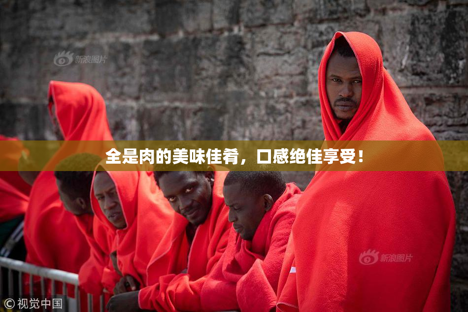 全是肉的美味佳肴，口感绝佳享受！
