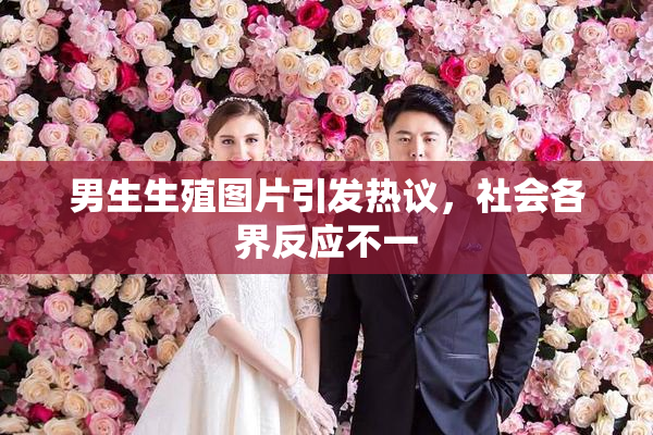 男生生殖图片引发热议，社会各界反应不一