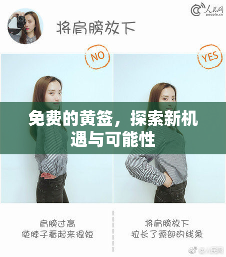 免费的黄签，探索新机遇与可能性