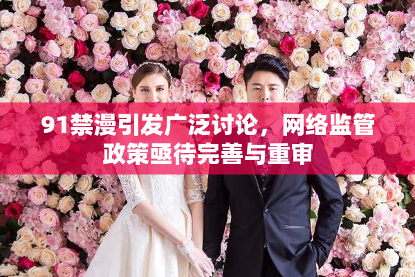 91禁漫引发广泛讨论，网络监管政策亟待完善与重审