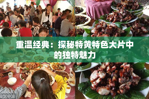重温经典：探秘特黄特色大片中的独特魅力