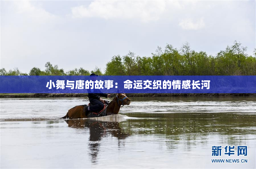 小舞与唐的故事：命运交织的情感长河