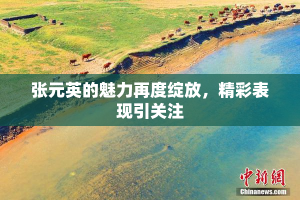 张元英的魅力再度绽放，精彩表现引关注