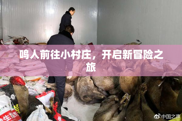 鸣人前往小村庄，开启新冒险之旅