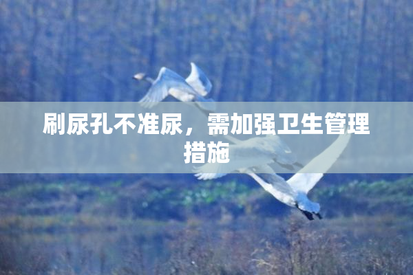 刷尿孔不准尿，需加强卫生管理措施