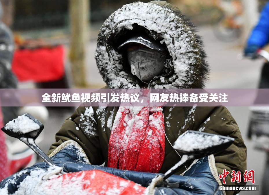 全新鱿鱼视频引发热议，网友热捧备受关注