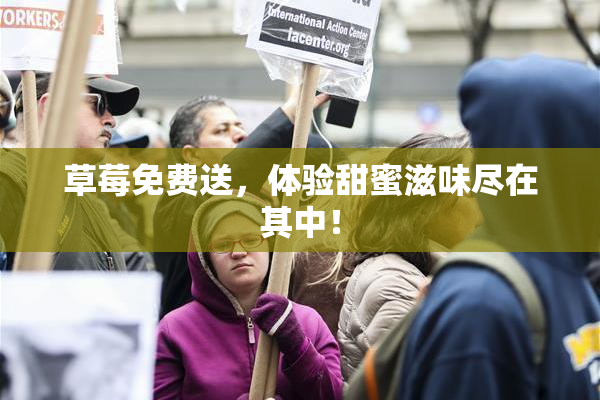草莓免费送，体验甜蜜滋味尽在其中！