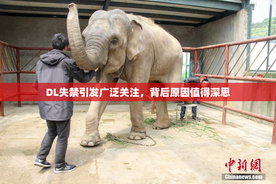 DL失禁引发广泛关注，背后原因值得深思