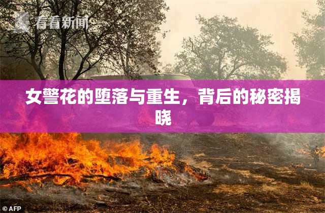 女警花的堕落与重生，背后的秘密揭晓