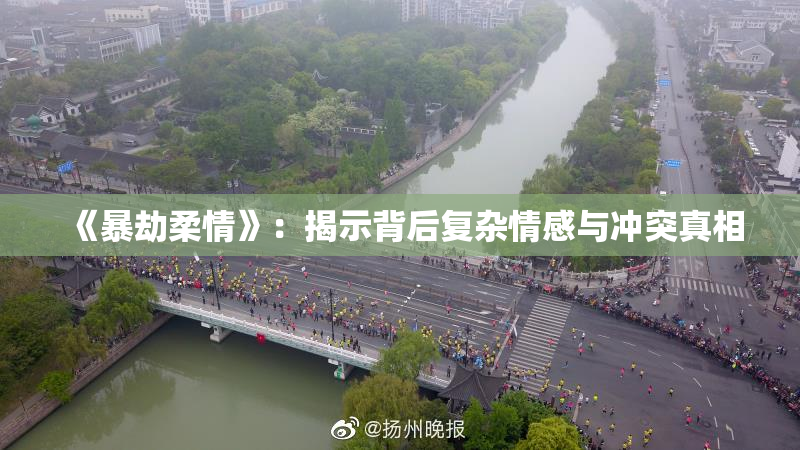 《暴劫柔情》：揭示背后复杂情感与冲突真相