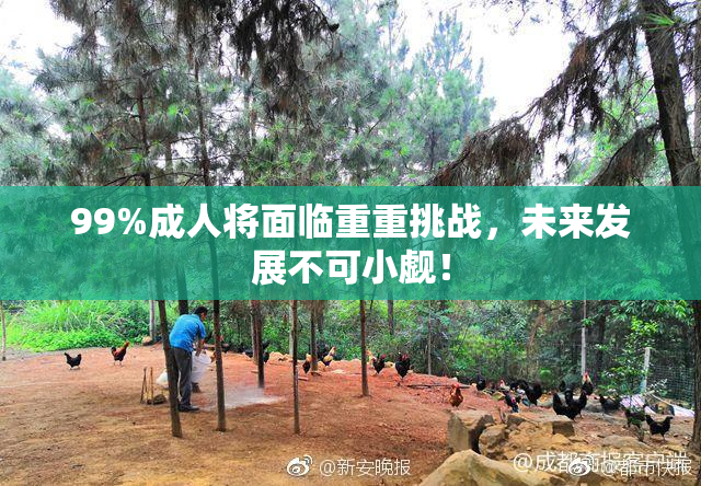 99%成人将面临重重挑战，未来发展不可小觑！