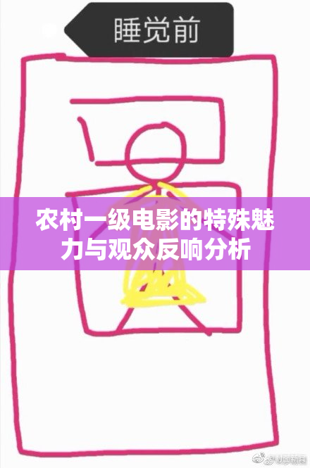 农村一级电影的特殊魅力与观众反响分析