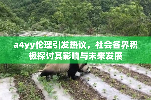 a4yy伦理引发热议，社会各界积极探讨其影响与未来发展