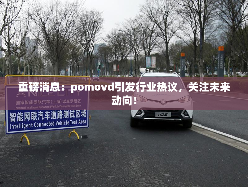 重磅消息：pomovd引发行业热议，关注未来动向！