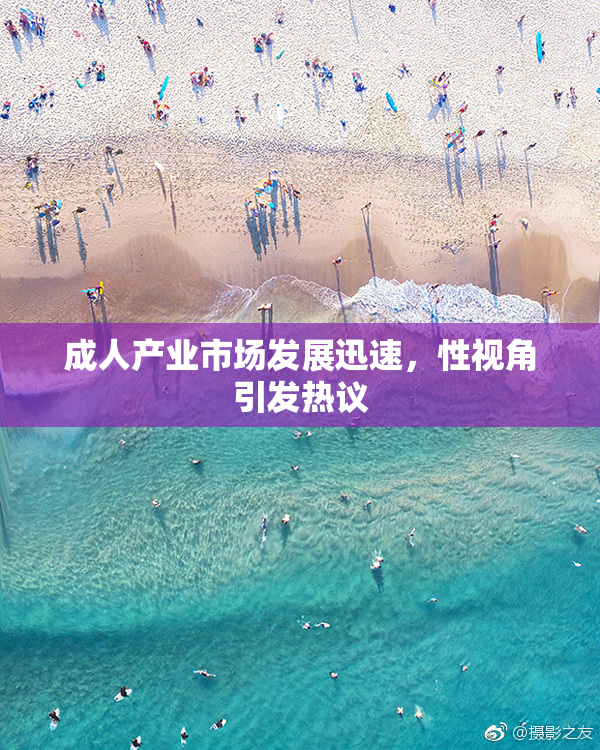 成人产业市场发展迅速，性视角引发热议
