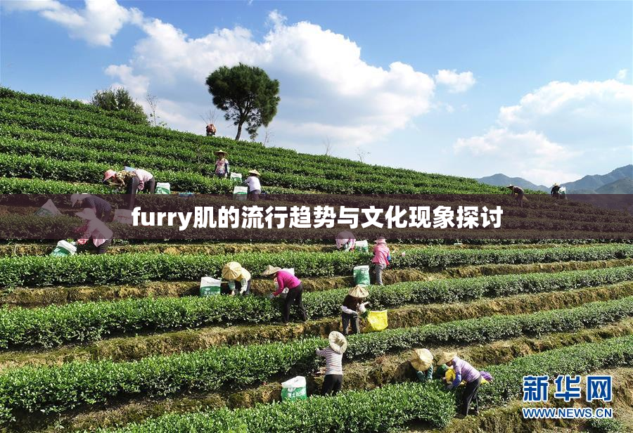 furry肌的流行趋势与文化现象探讨