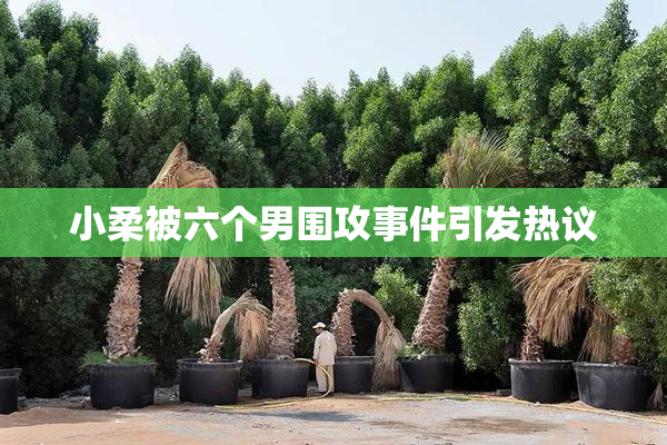 小柔被六个男围攻事件引发热议