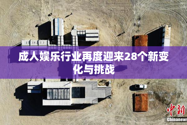 成人娱乐行业再度迎来28个新变化与挑战
