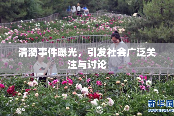 清漪事件曝光，引发社会广泛关注与讨论
