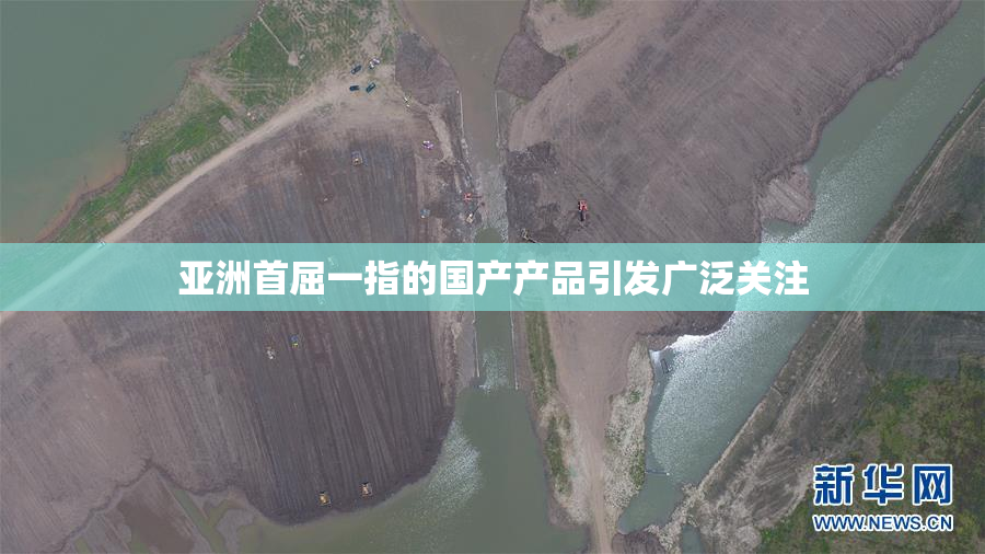 亚洲首屈一指的国产产品引发广泛关注