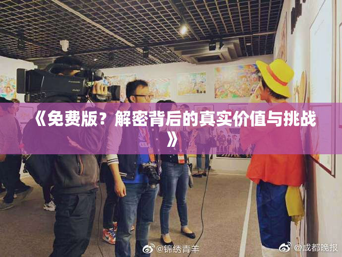 《免费版？解密背后的真实价值与挑战》