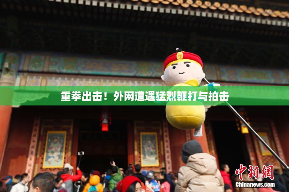 重拳出击！外网遭遇猛烈鞭打与拍击