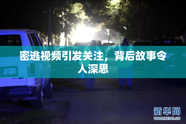 密逃视频引发关注，背后故事令人深思