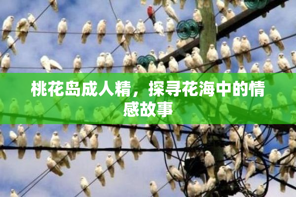 桃花岛成人精，探寻花海中的情感故事