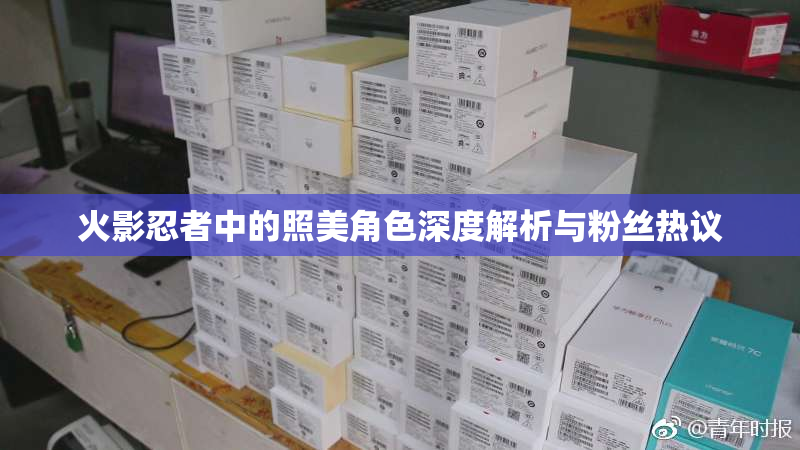 火影忍者中的照美角色深度解析与粉丝热议